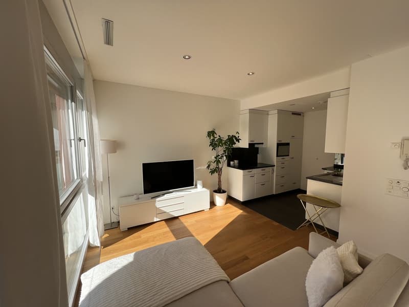 Möblierte 2.5-Zimmer-Wohnung mit Balkon und Seesicht in Zug (2)