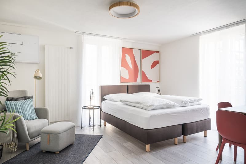 Möblierte 1.5-Zimmer-Wohnung direkt beim Hauptbahnhof Zürich (2)