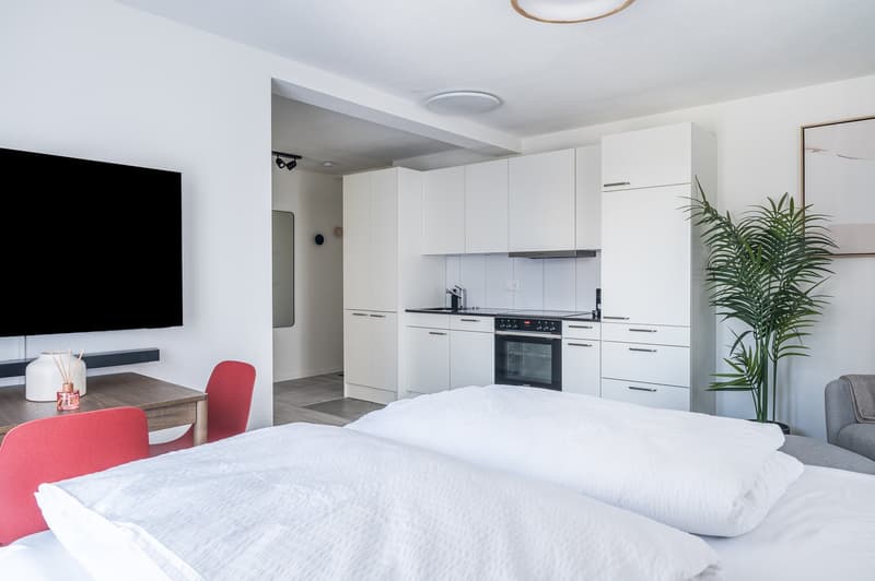 Möblierte 1.5-Zimmer-Wohnung direkt beim Hauptbahnhof Zürich (4)