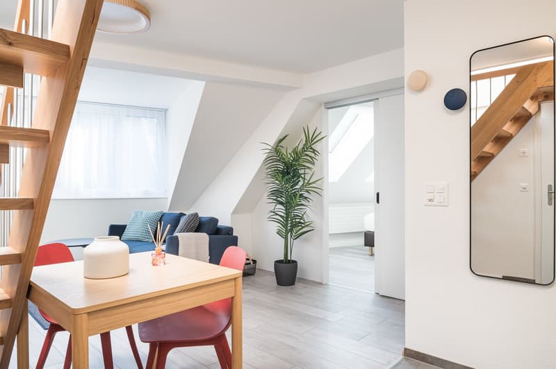 Möbliertes 2.5-Zimmer-Penthouse mit grosser Dachterrasse in Zürich (6)