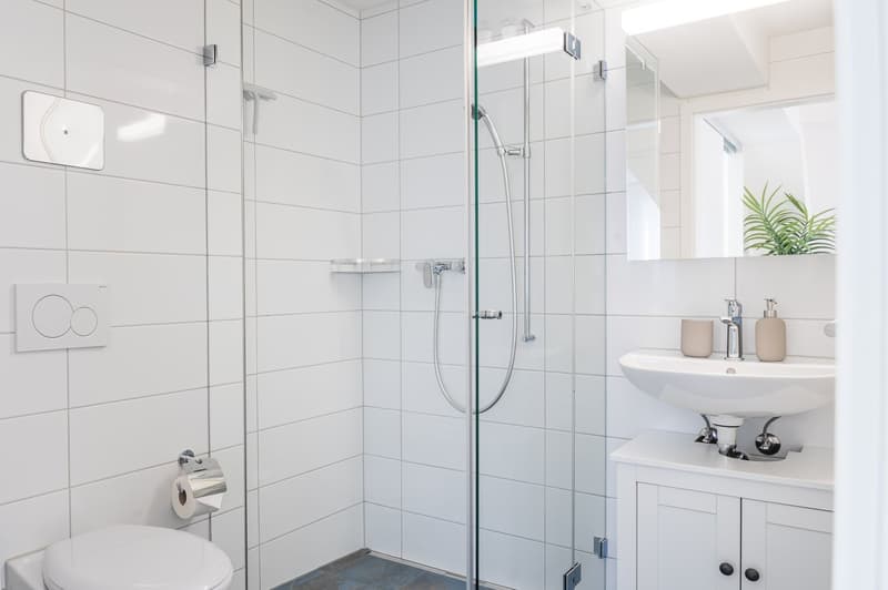 Möbliertes 2.5-Zimmer-Penthouse mit grosser Dachterrasse in Zürich (8)