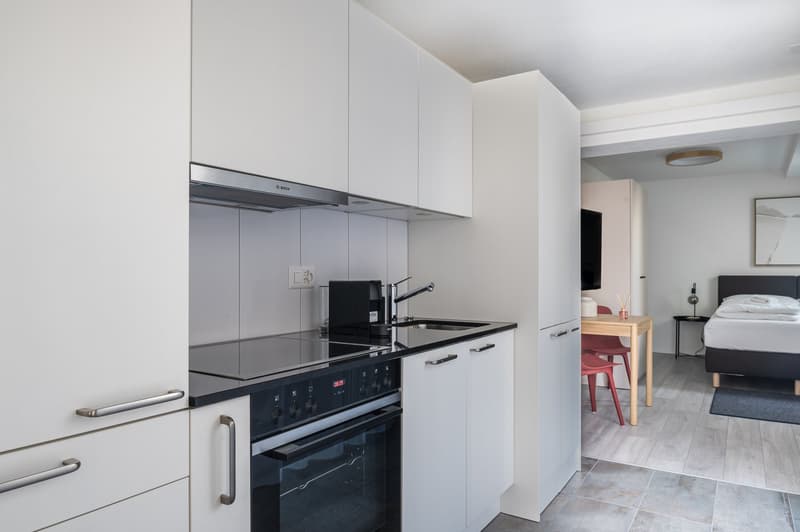 Möblierte 1.5-Zimmer-Attikawohnung mit Balkon im Herzen von Züric (8)