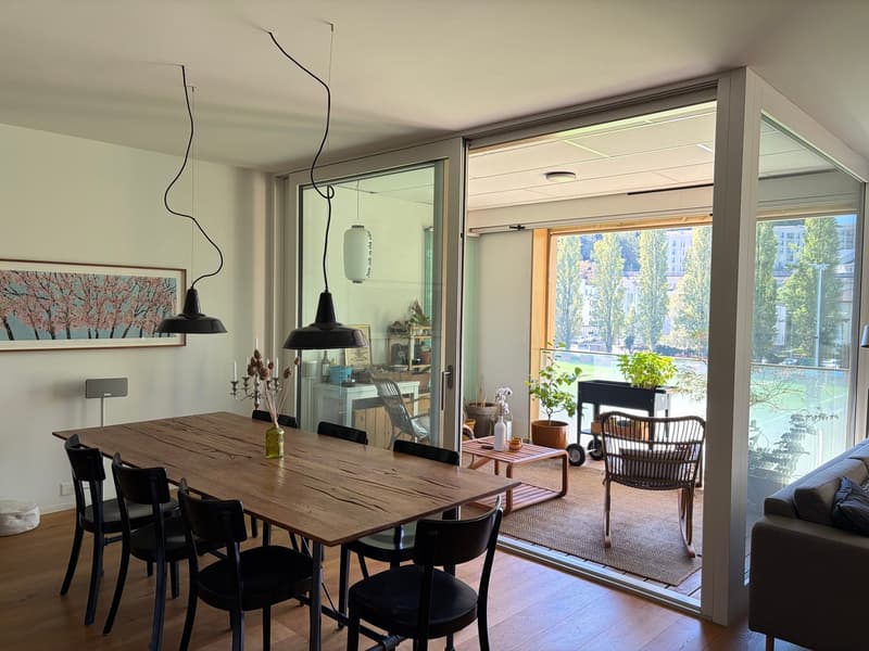 Charming furnished 3.5-Room Apartment with Balcony an rooftop terrace in the Heart of Luzern (7)
