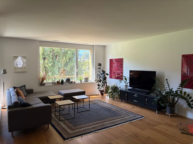 Charming furnished 3.5-Room Apartment with Balcony an rooftop terrace in the Heart of Luzern (3)