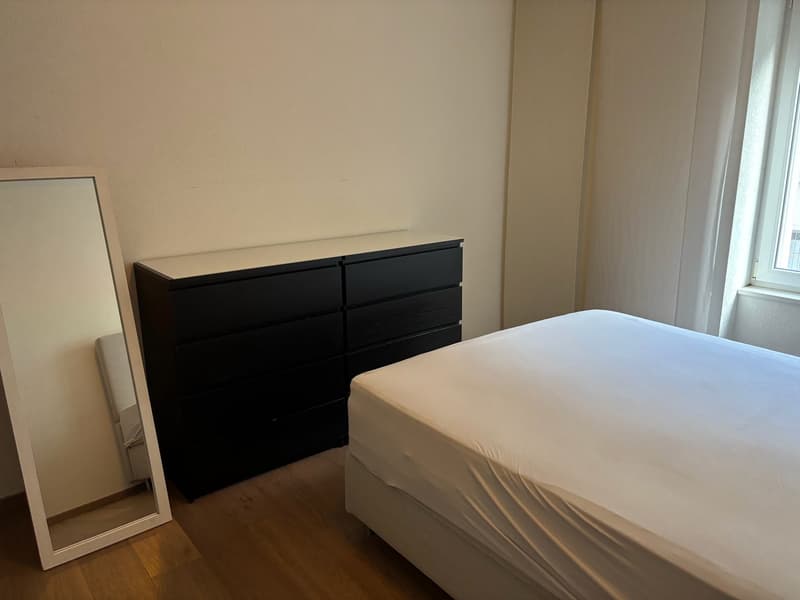 Fixed term: 01.01.2027 - 31.05.2027: Charming Furnished 3.5-Room Apartment in Zürich-Wiedikon (9)