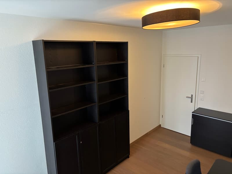 Fixed term: 01.01.2027 - 31.05.2027: Charming Furnished 3.5-Room Apartment in Zürich-Wiedikon (11)