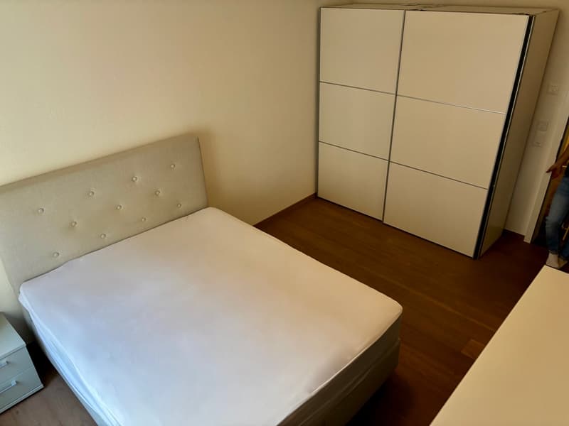 Fixed term: 01.01.2027 - 31.05.2027: Charming Furnished 3.5-Room Apartment in Zürich-Wiedikon (8)