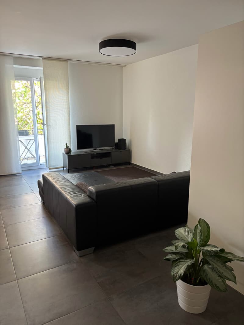 Fixed term: 01.01.2027 - 31.05.2027: Charming Furnished 3.5-Room Apartment in Zürich-Wiedikon (3)