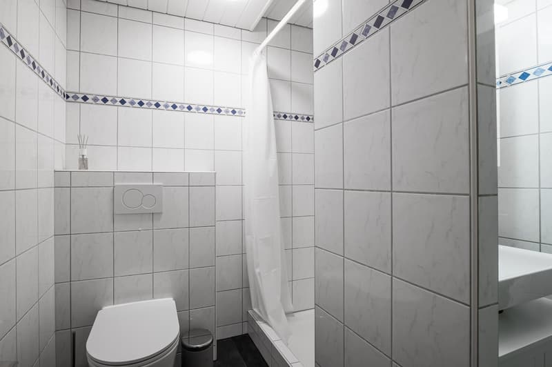 Furnished 2.5-Room Apartment in Basel – Central Location (14)