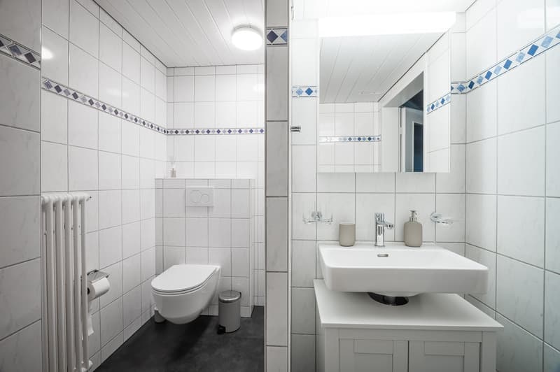 Furnished 2.5-Room Apartment in Basel – Central Location (12)