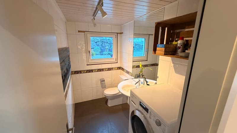 Exclusive Furnished 5.5 room Apartment with Breathtaking Lake and Mountain Views (21)