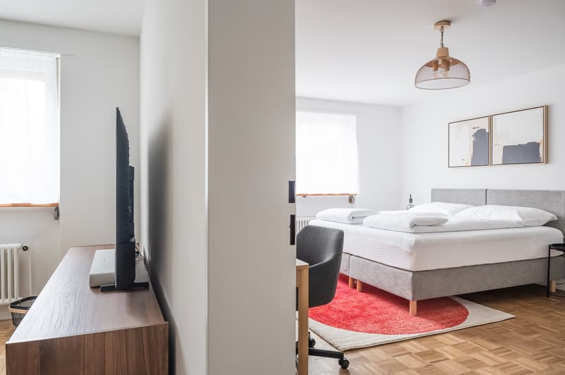 Furnished 2.5-Room Apartment in Basel-Central Location (8)