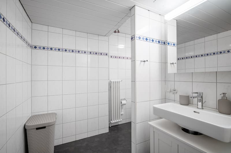 Furnished 2.5-Room Apartment in Basel-Central Location (14)