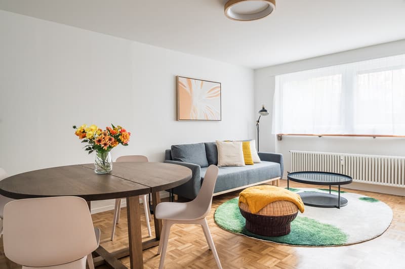 Furnished 2.5-Room Apartment in Basel-Central Location (2)