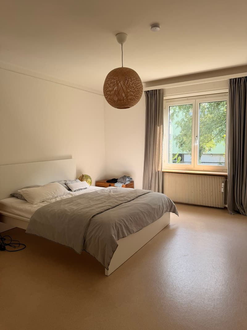Altbauwohnung mit grossem Gartenanteil im Zentrum von Visp (6)