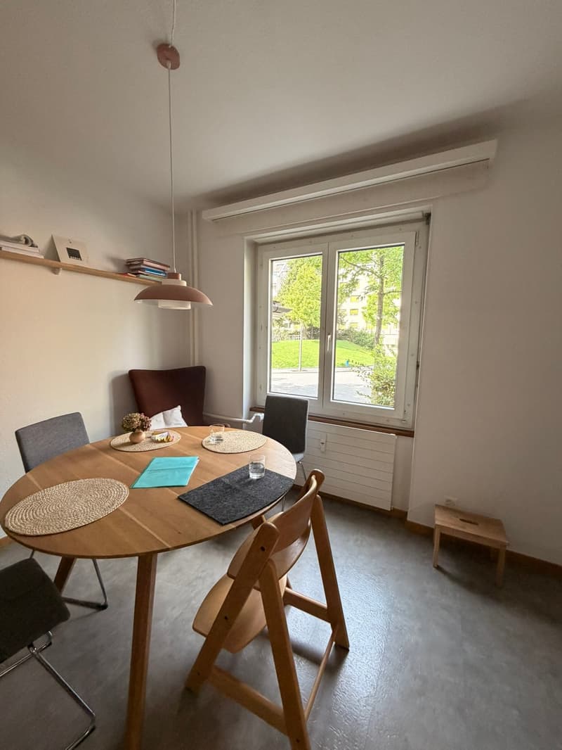 Altbauwohnung mit grossem Gartenanteil im Zentrum von Visp (9)