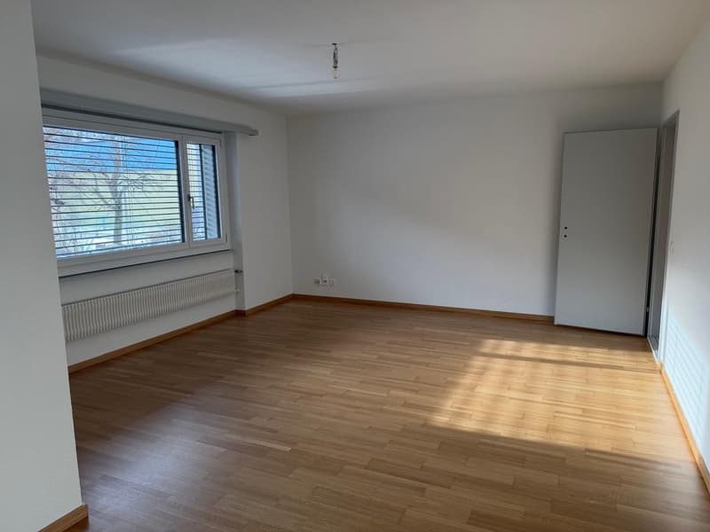 Sanierte Wohnung in Visp (7)