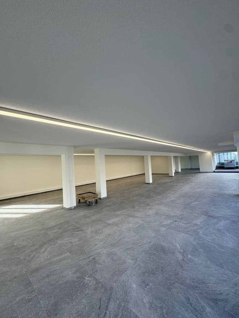 Gewerbefläche zu vermieten – ca 252 m² – Komplett renoviert im Jahr 2025 – Orpund (7)
