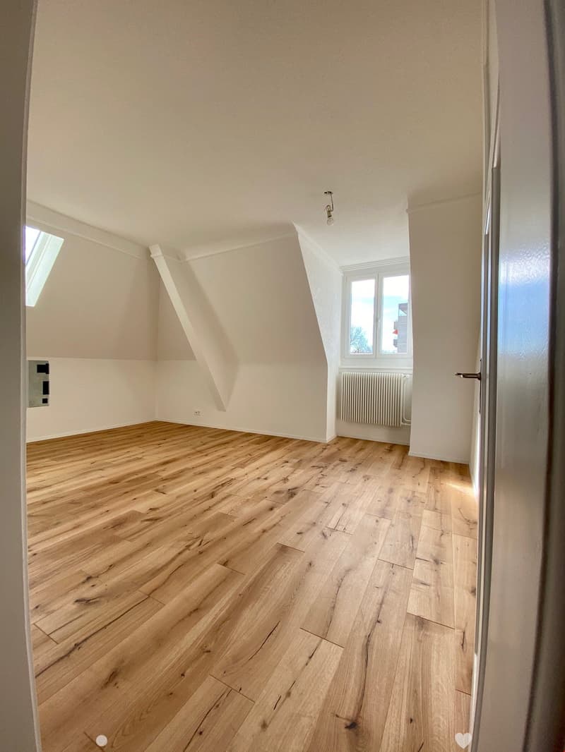 Schöne 2.5 Zimmerwohnung Biel/Bienne (1)