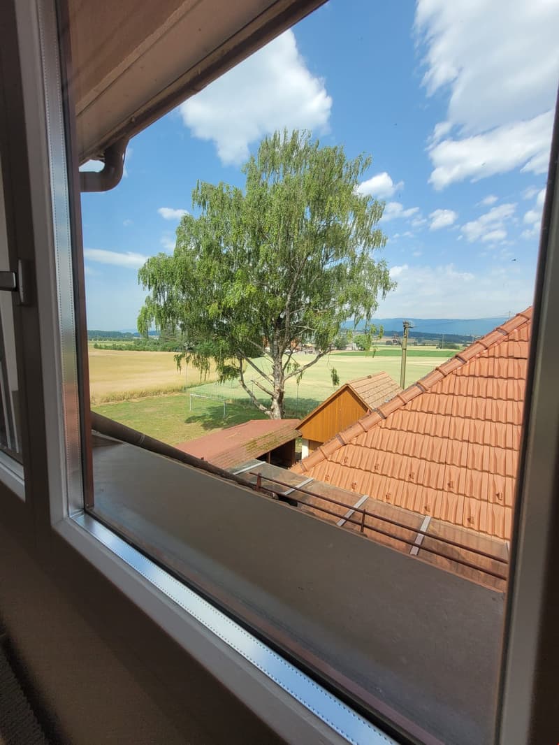 Grosse und helle 4.5-Zimmerwohnung mit Dachterrasse (6)