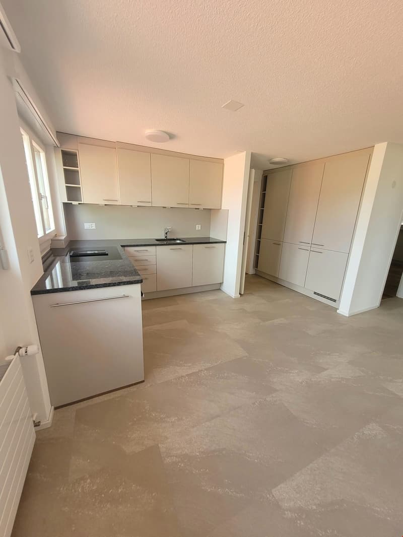Grosse und helle 4.5-Zimmerwohnung mit Dachterrasse (8)