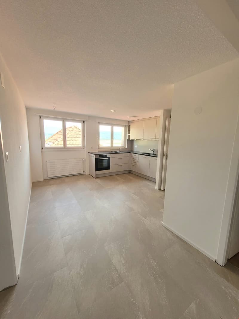 Grosse und helle 4.5-Zimmerwohnung mit Dachterrasse (7)