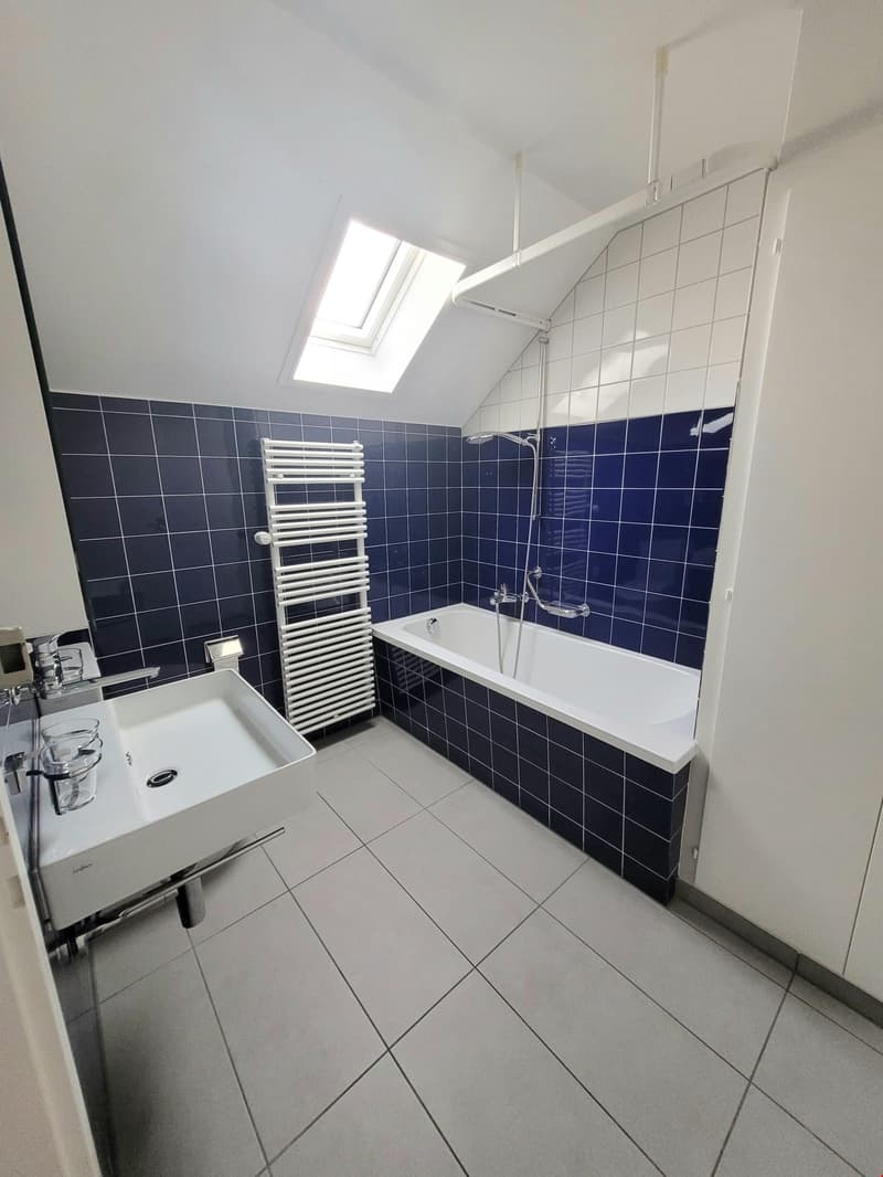 Grosse und helle 4.5-Zimmerwohnung mit Dachterrasse (3)