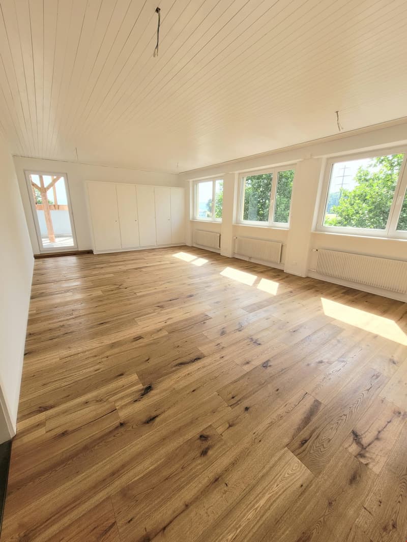 Grosse und helle 4.5-Zimmerwohnung mit Dachterrasse (1)