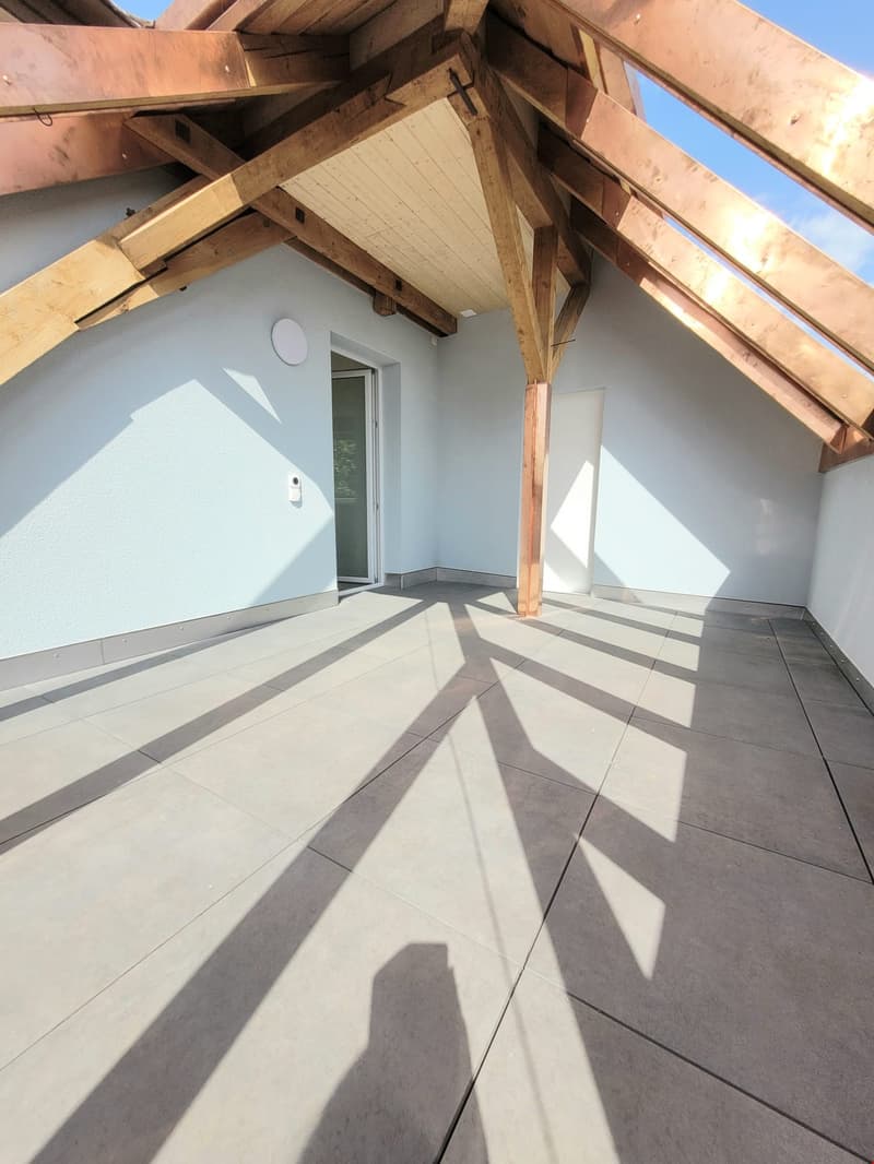 Grosse und helle 4.5-Zimmerwohnung mit Dachterrasse (4)