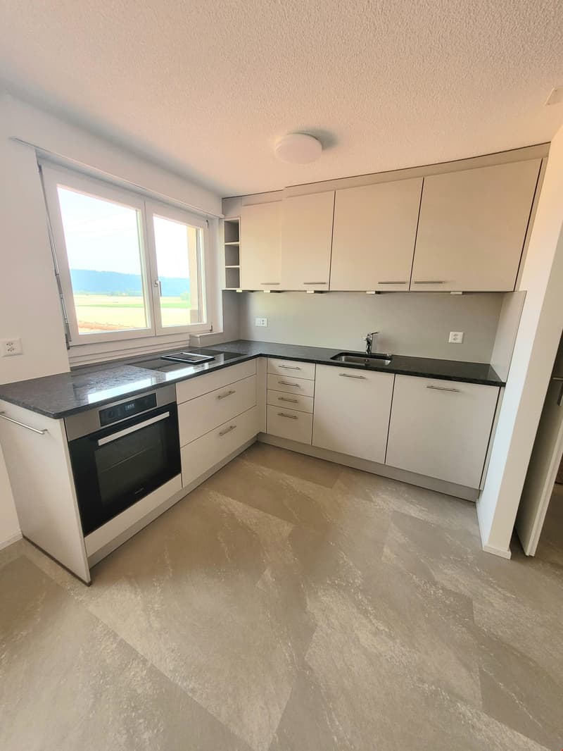 Grosse und helle 4.5-Zimmerwohnung mit Dachterrasse (2)