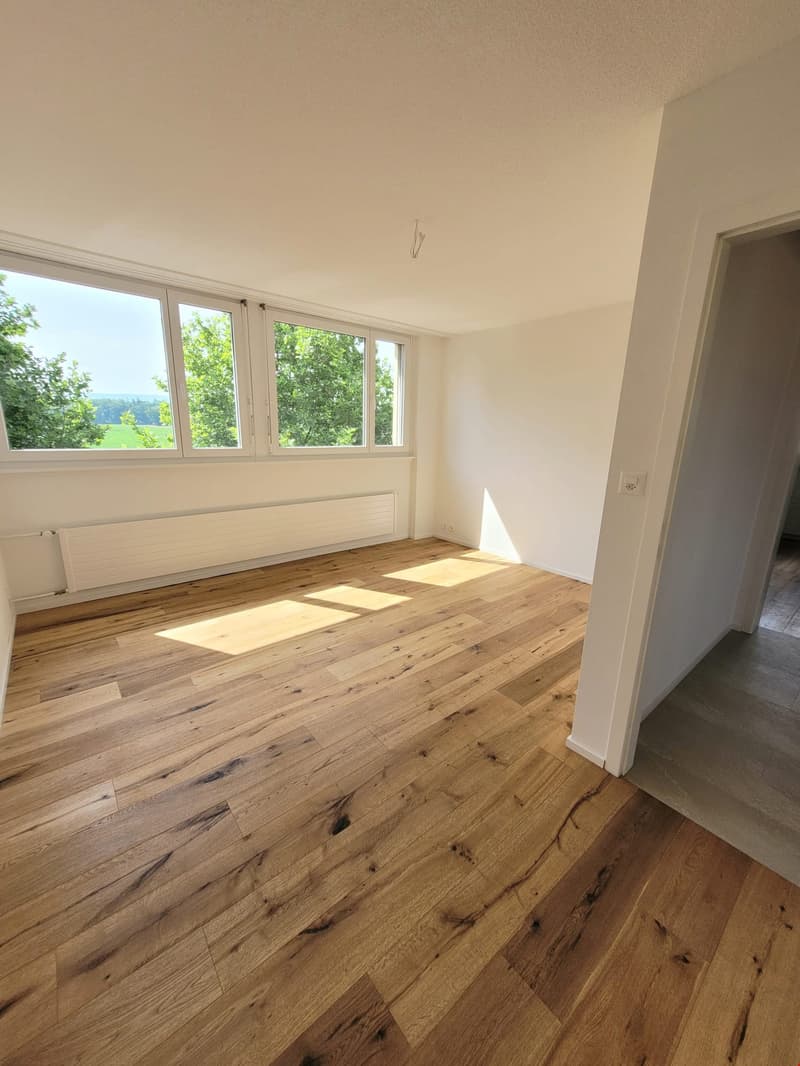 Grosse und helle 4.5-Zimmerwohnung mit Dachterrasse (10)