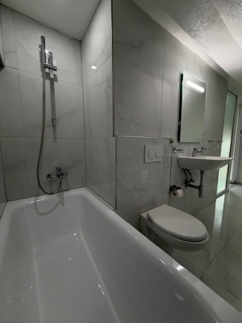 Appartement Duplex 4.5 pcs Nouveau à Bienne ! (17)