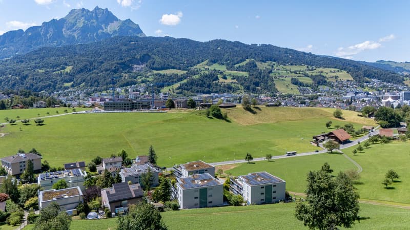 Flexibles Wohnen mit grandioser Gartenterrasse und Pilatusblick (2)