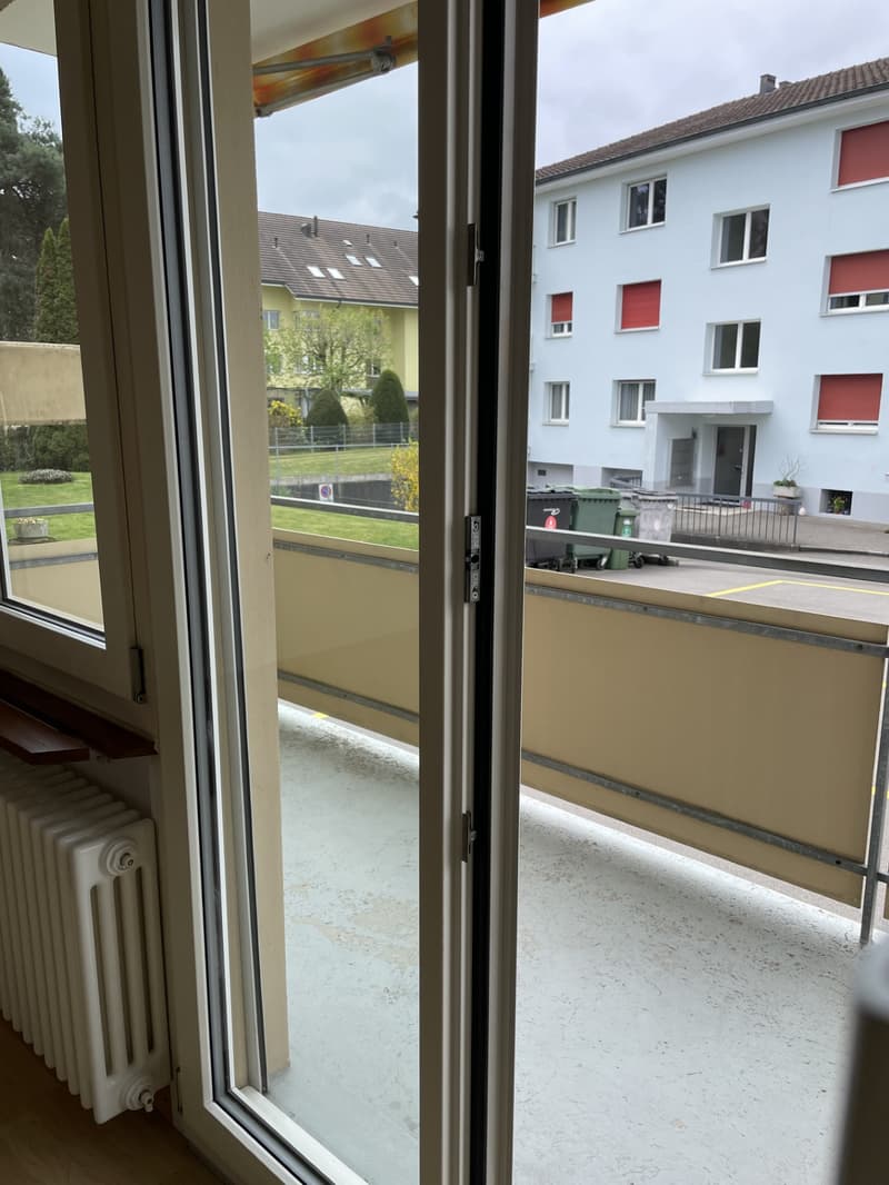 Appartamento accogliente di 3 locali (5)