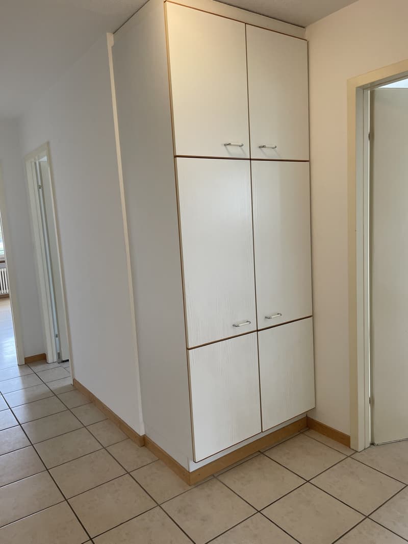 Appartamento accogliente di 3 locali (7)