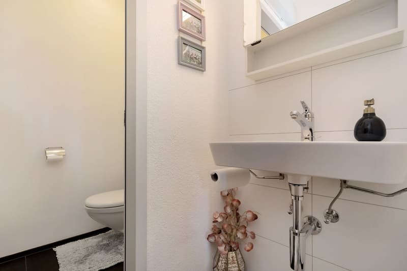 Renovated apartment in the Wittigkofen quarter (12)