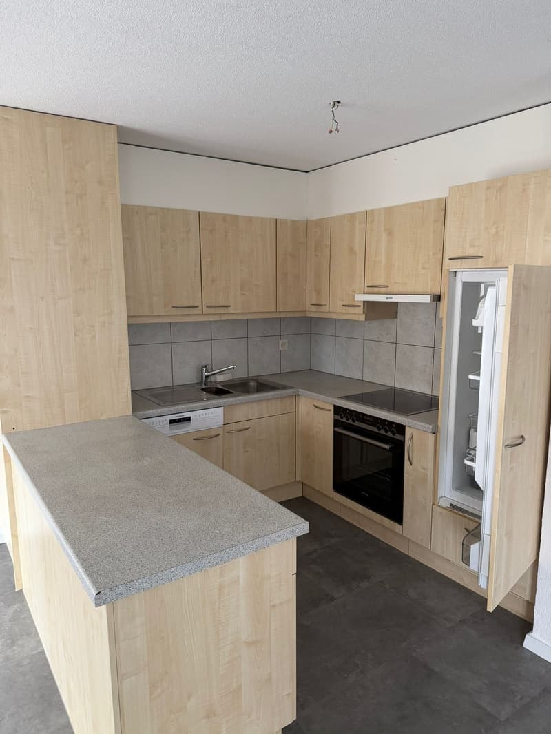 Bright 4-room apartment with garden seating and balcony (4)
