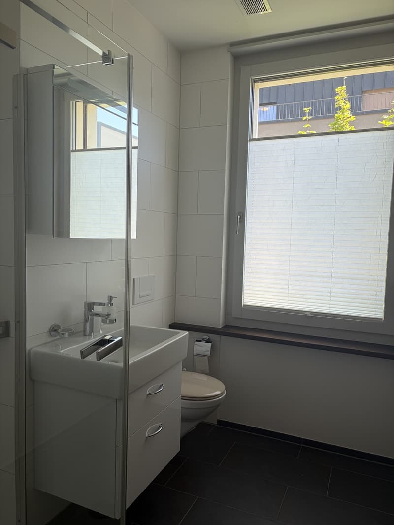 Exclusive apartment including parking space (13)