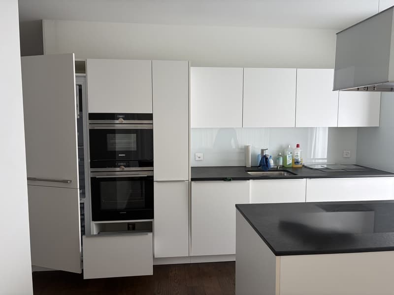 Exclusive apartment including parking space (3)