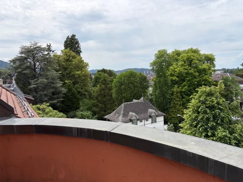 Luxuriöse 5-Zimmer-Wohnung in grüner Umgebung in Bern (4)