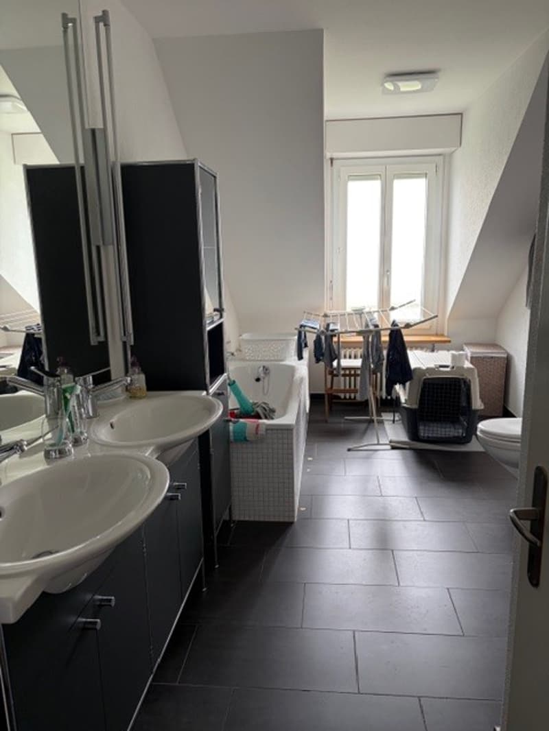 Luxuriöse 5-Zimmer-Wohnung in grüner Umgebung in Bern (14)