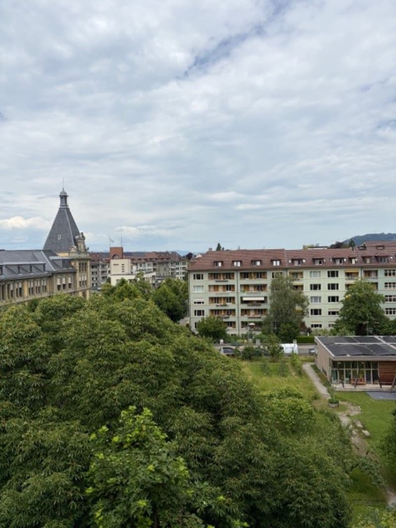 Luxuriöse 5-Zimmer-Wohnung in grüner Umgebung in Bern (9)