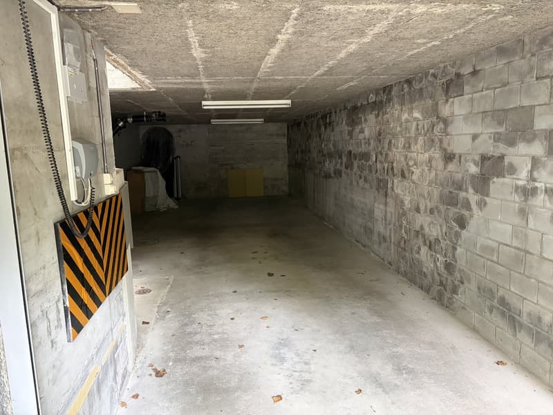 Luxuriöse 5-Zimmer-Wohnung in grüner Umgebung in Bern (17)