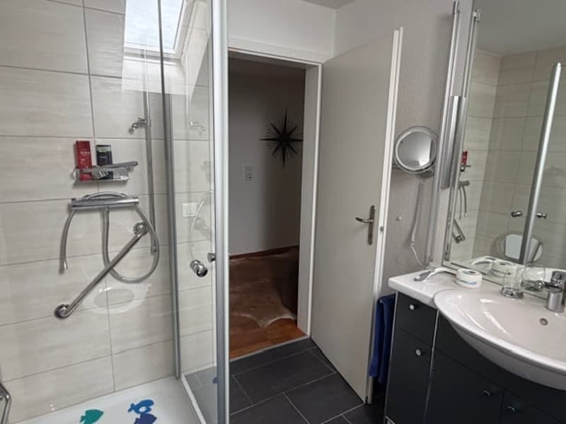 Luxuriöse 5-Zimmer-Wohnung in grüner Umgebung in Bern (15)