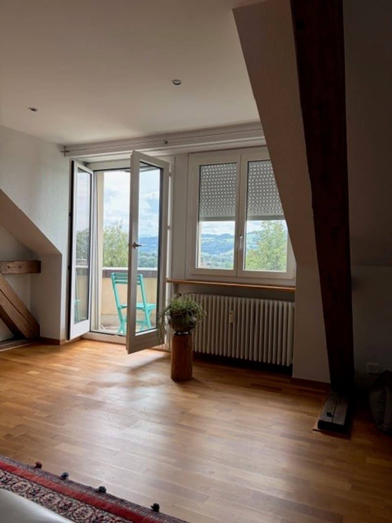 Luxuriöse 5-Zimmer-Wohnung in grüner Umgebung in Bern (6)