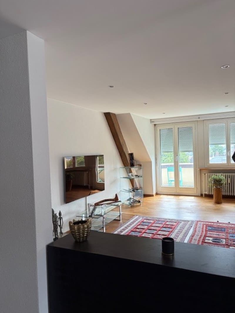 Luxuriöse 5-Zimmer-Wohnung in grüner Umgebung in Bern (3)
