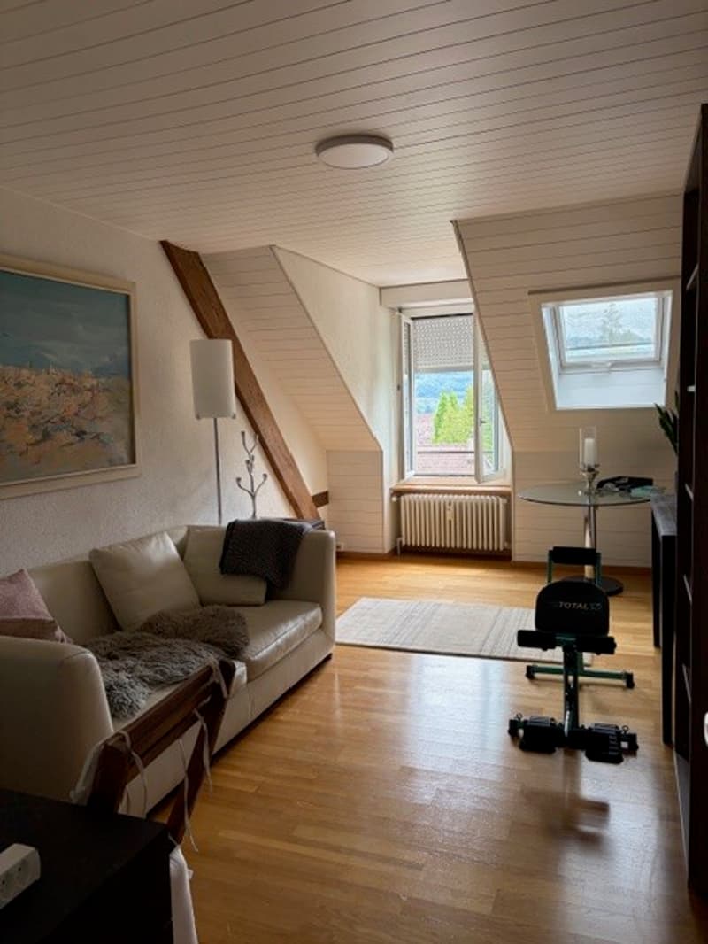 Luxuriöse 5-Zimmer-Wohnung in grüner Umgebung in Bern (12)