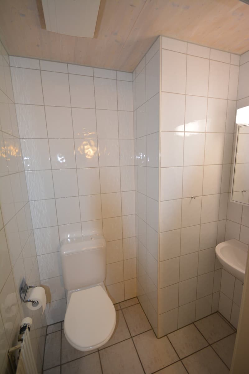 Ruhige 4-Zimmer-Wohnung mit Balkon und Galeriegeschoss (11)