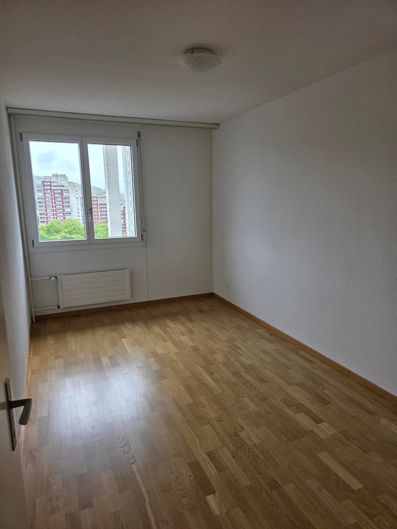 Über den Dächern von Bern (6)