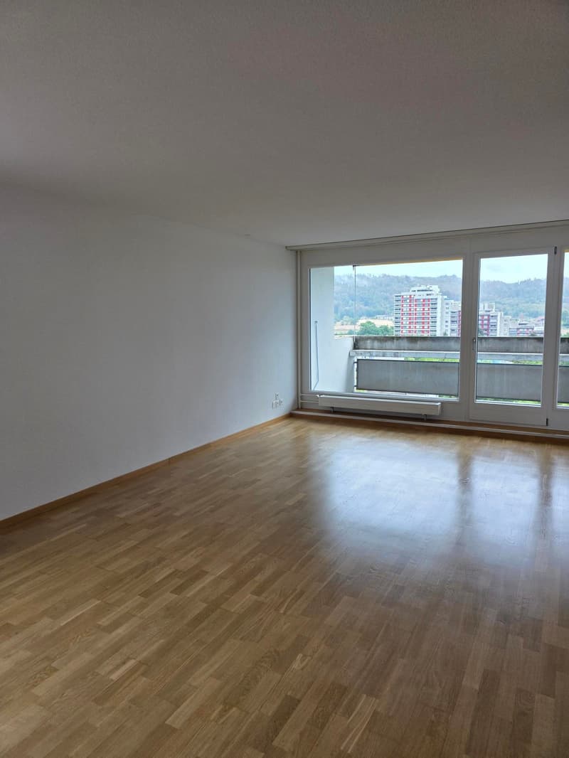 Über den Dächern von Bern (2)